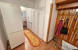 Apartament 2 camere, 60mp, AC, zona Lapus Arges