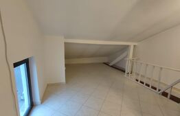 Apartament pe 2 niveluri, 2 camere, 2 bai, zona Biserica ,,Sf. Dumitru''