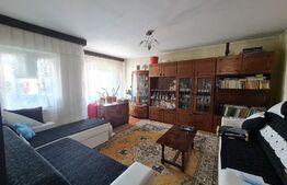 Apartament 2 camere, decomandat, garaj, zona Ultracentrala Filiasi