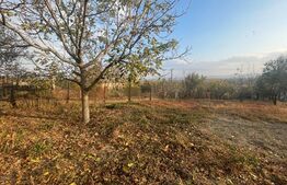 Casa batraneasca, 1370 mp, teren, Sat Grojdibodu Olt