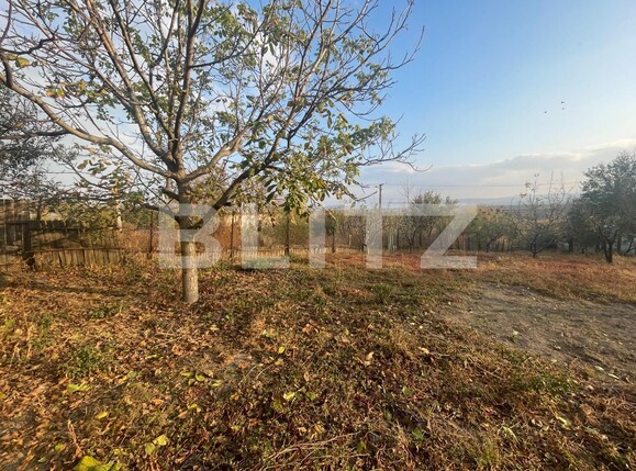 Casa de vânzare 5 camere Exterior Sud - 102414CV | BLITZ Craiova | Poza12