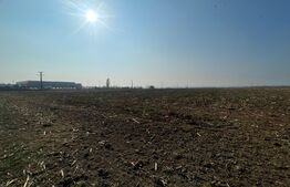 Teren extravilan 7500 mp, zona sens giratoriu Marlorex