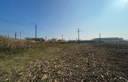 Teren extravilan 7500 mp, zona sens giratoriu Marlorex