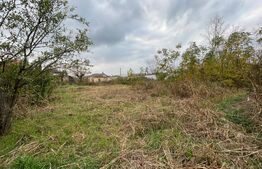 Teren intravilan 2458 mp, zona Brestei Cernele