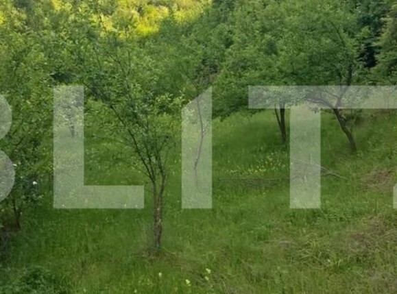 Casa de vânzare 2 camere Filiaşi - 102433CV | BLITZ Craiova | Poza1