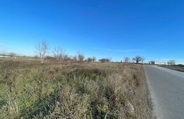 Teren Intravilan 6100 mp, Certificat de urbanism, Centura de Nord