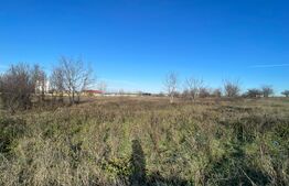 Teren Intravilan 6100 mp, Certificat de urbanism, Centura de Nord