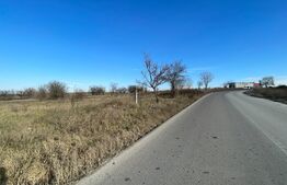 Teren Intravilan 6100 mp, Certificat de urbanism, Centura de Nord