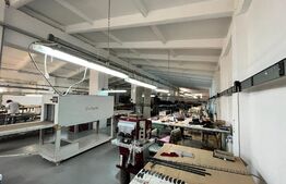 Hale producție, 456 mp și 541 mp, echipamente confecții piele, Bariera Vâlcii