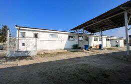 Hale producție, 456 mp și 541 mp, echipamente confecții piele, Bariera Vâlcii