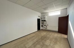 Hale producție, 456 mp și 541 mp, echipamente confecții piele, Bariera Vâlcii