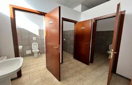 Hale producție, 456 mp și 541 mp, echipamente confecții piele, Bariera Vâlcii