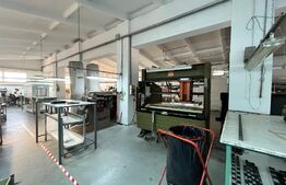 Hale producție, 456 mp și 541 mp, echipamente confecții piele, Bariera Vâlcii