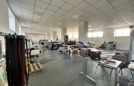 Hale producție, 456 mp și 541 mp, echipamente confecții piele, Bariera Vâlcii