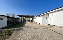 Hale producție, 456 mp și 541 mp, echipamente confecții piele, Bariera Vâlcii