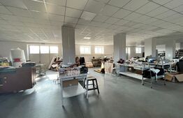 Hale producție, 456 mp și 541 mp, echipamente confecții piele, Bariera Vâlcii