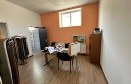 Hale producție, 456 mp și 541 mp, echipamente confecții piele, Bariera Vâlcii