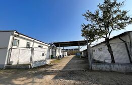 Hale producție, 456 mp și 541 mp, echipamente confecții piele, Bariera Vâlcii