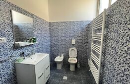 Hale producție, 456 mp și 541 mp, echipamente confecții piele, Bariera Vâlcii