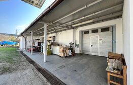 Hale producție, 456 mp și 541 mp, echipamente confecții piele, Bariera Vâlcii