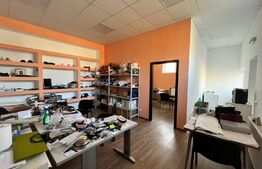 Hale producție, 456 mp și 541 mp, echipamente confecții piele, Bariera Vâlcii