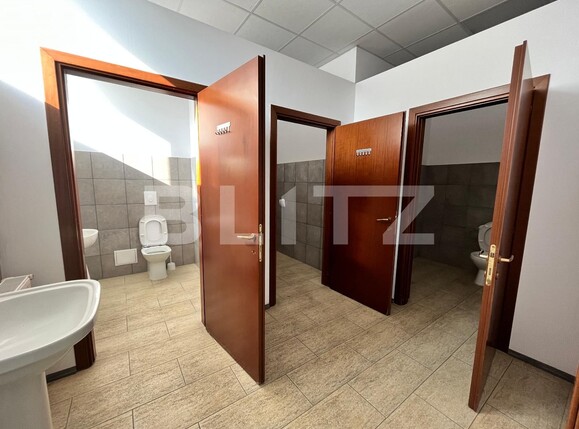 Spațiu industrial de vânzare Bariera Valcii - 102462SVI | BLITZ Craiova | Poza18