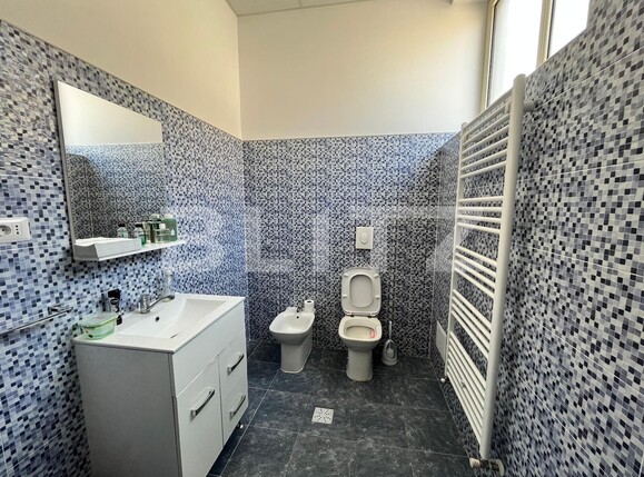 Spațiu industrial de vânzare Bariera Valcii - 102462SVI | BLITZ Craiova | Poza14