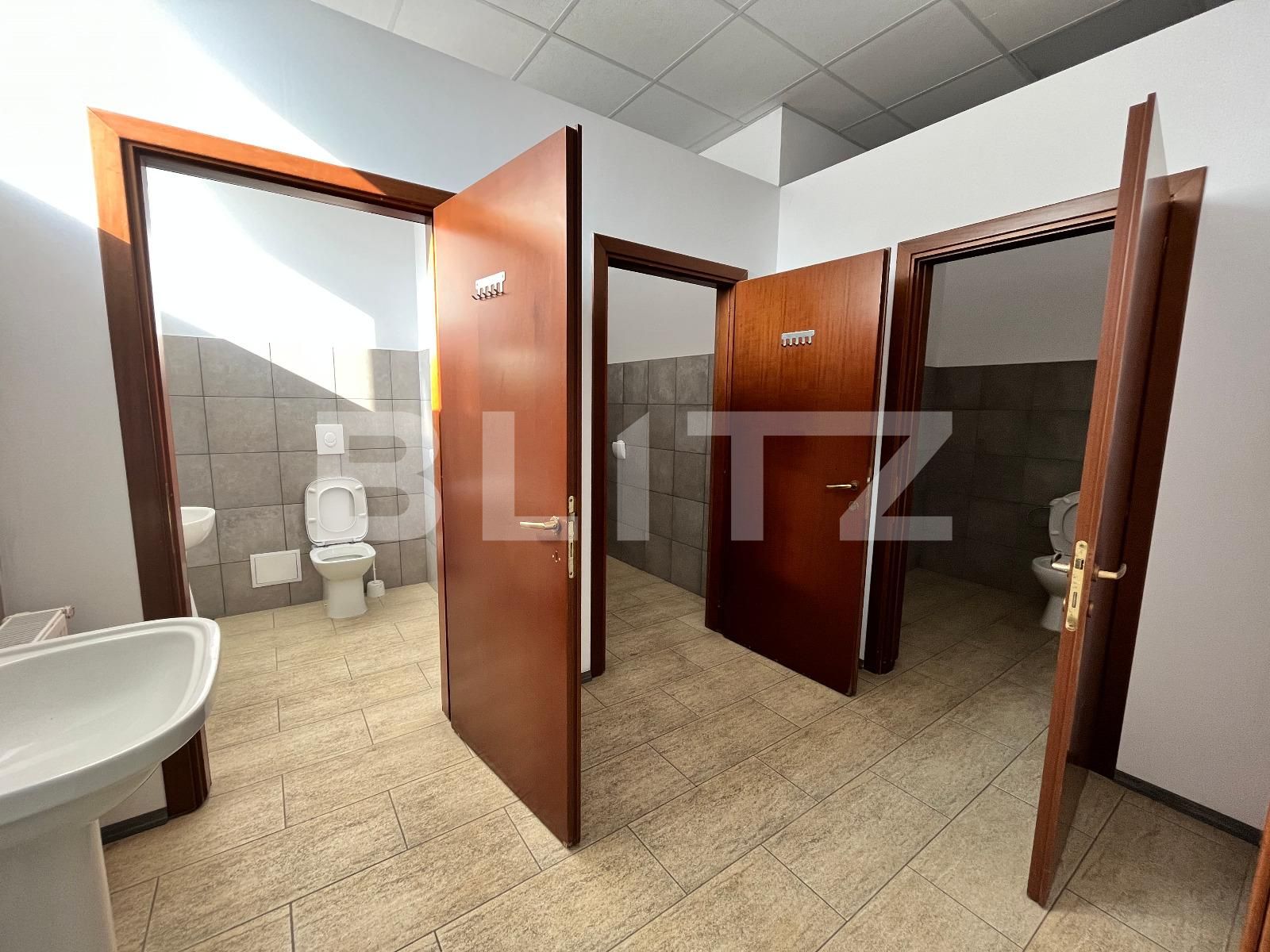 Spațiu industrial de vânzare Bariera Valcii - 102462SVI | BLITZ Craiova | Poza18