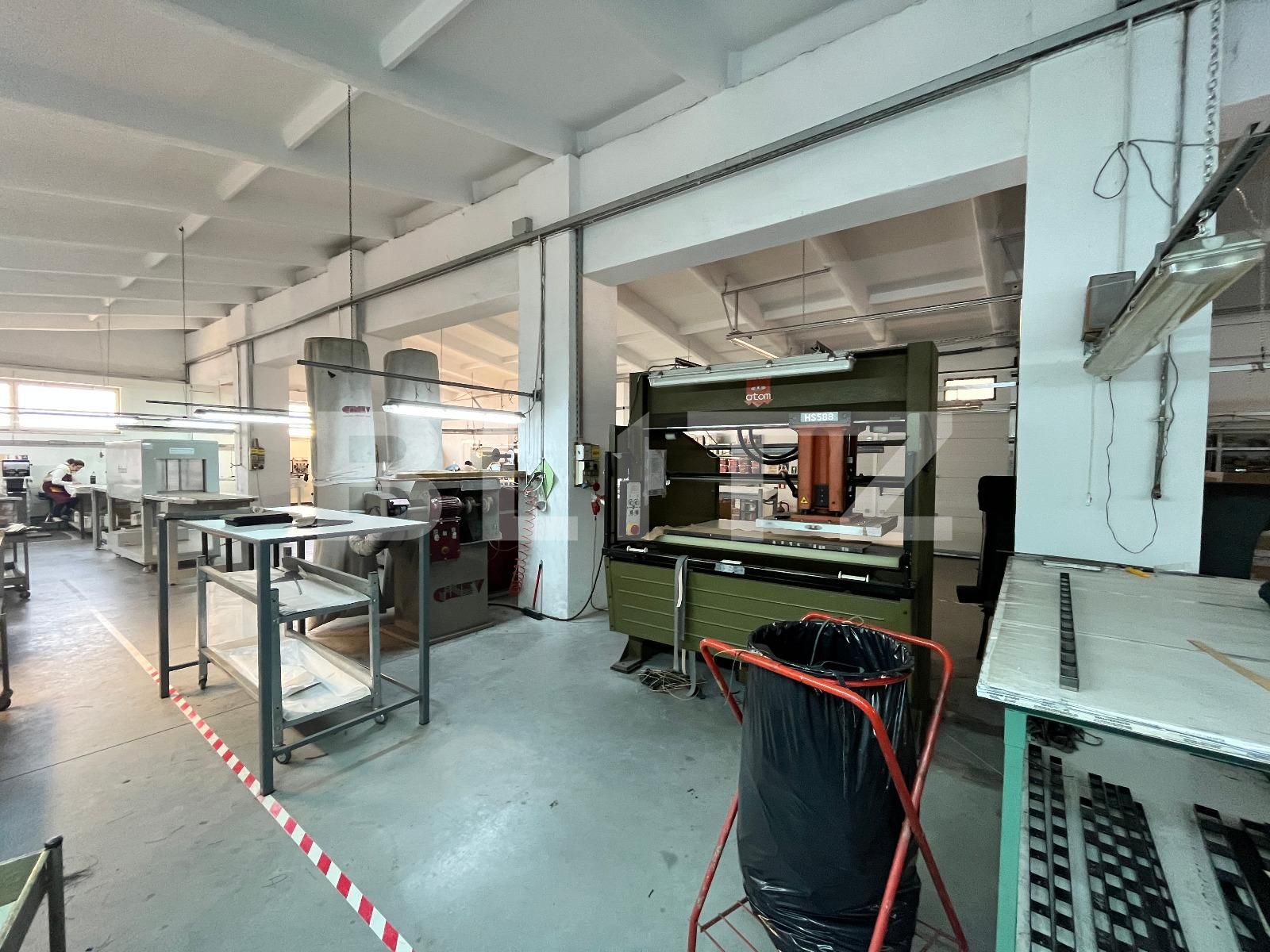 Spațiu industrial de vânzare Bariera Valcii - 102462SVI | BLITZ Craiova | Poza16