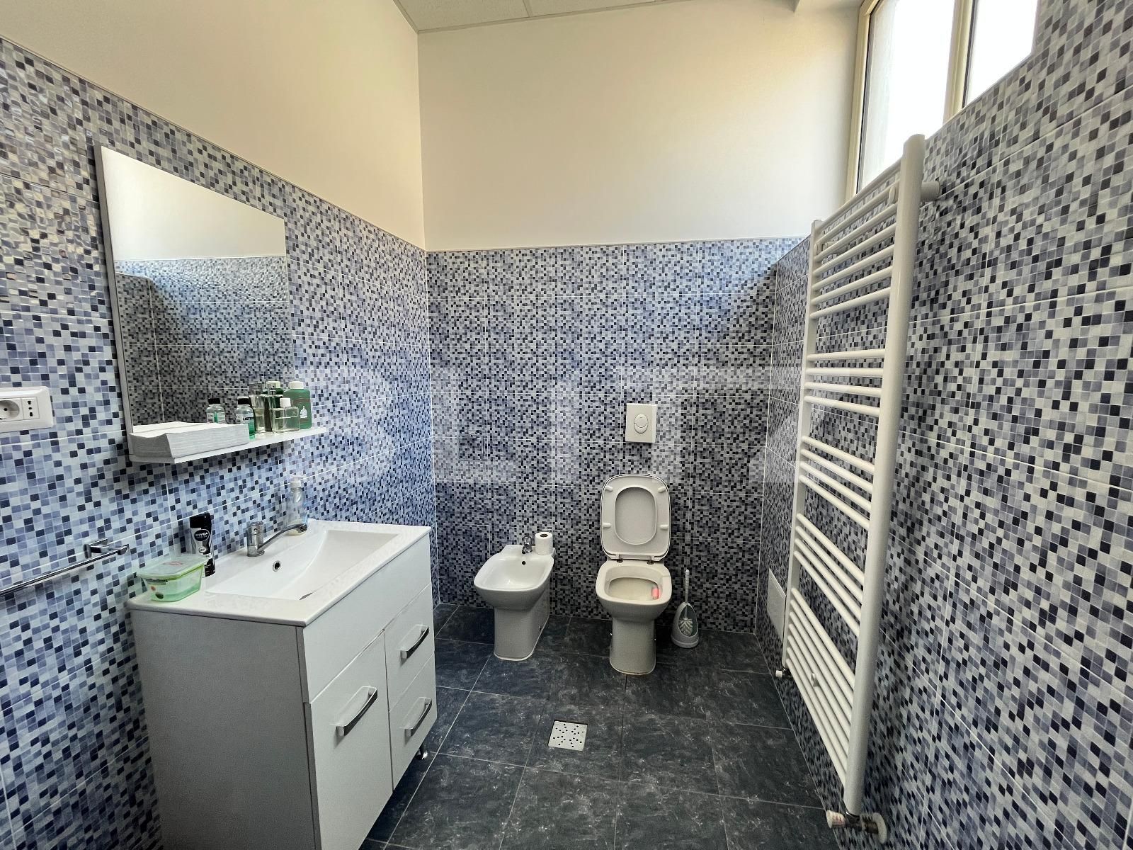 Spațiu industrial de vânzare Bariera Valcii - 102462SVI | BLITZ Craiova | Poza14