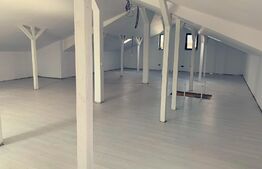 Casa nouă eleganta P+M, 185 mp utili si 520 mp teren, Preajba