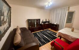 Apartament 2 camere, 50 mp, balcon, Brazda lui Novac Rocada