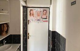 Apartament pretabil spatiu comercial, parter, zona George Enescu