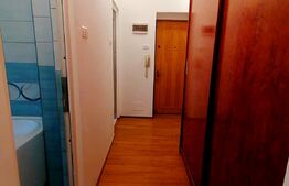 Garsoniera decomandata, 35 mp, pet friendly, centrala termica, zona Mercur