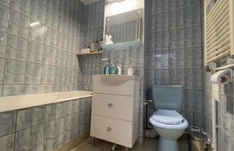 Apartament 3 camere, recent renovat, zona Calea Bucuresti 