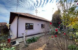 Casă pe parter de 173 mp si 1980 mp teren, Brădești!