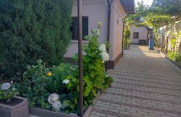 Casă pe parter de 173 mp si 1980 mp teren, Brădești!