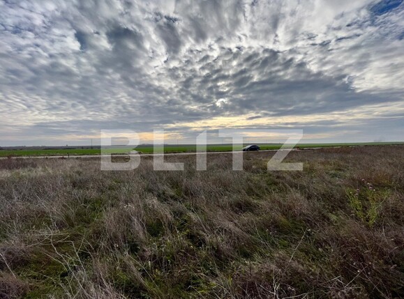 Teren de vânzare Carcea  - 103025TV | BLITZ Craiova | Poza5
