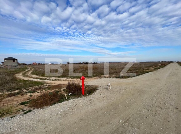 Teren de vânzare Carcea  - 103025TV | BLITZ Craiova | Poza2