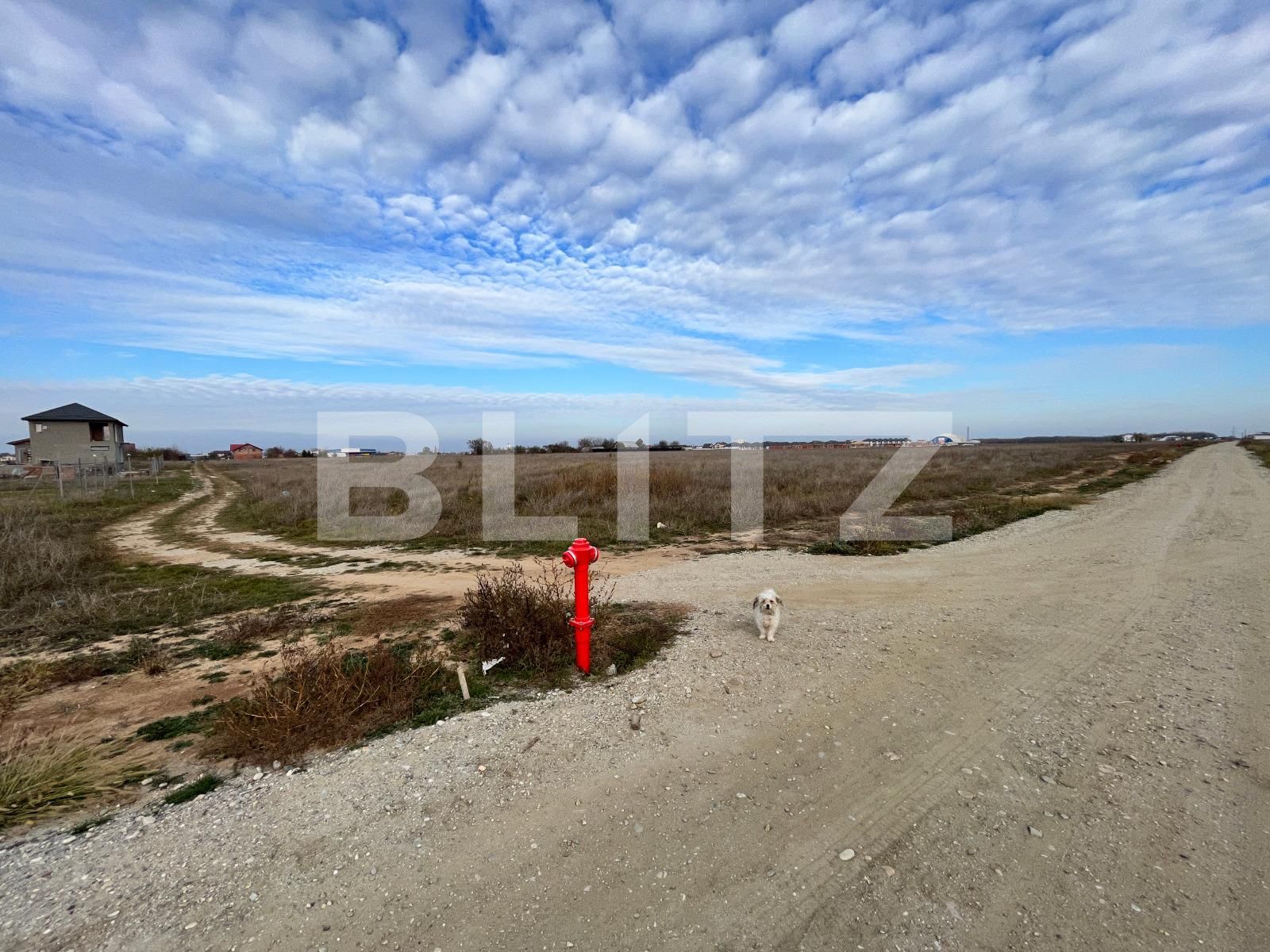 Teren de vânzare Carcea  - 103025TV | BLITZ Craiova | Poza2