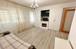 Garsoniera 40 mp, centrala proprie, AC, Calea Severinului