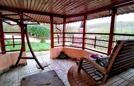 Vila P+1, 175 mp, 734 mp teren intravilan, Leamna de Jos