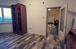 Vila P+1, 175 mp, 734 mp teren intravilan, Leamna de Jos