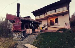 Vila P+1, 175 mp, 734 mp teren intravilan, Leamna de Jos