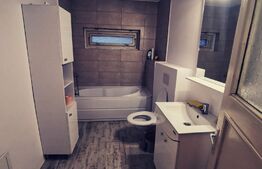 Vila P+1, 175 mp, 734 mp teren intravilan, Leamna de Jos