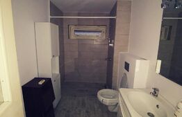 Vila P+1, 175 mp, 734 mp teren intravilan, Leamna de Jos