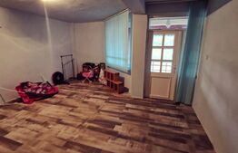 Vila P+1, 175 mp, 734 mp teren intravilan, Leamna de Jos