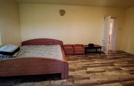 Vila P+1, 175 mp, 734 mp teren intravilan, Leamna de Jos