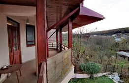 Vila P+1, 175 mp, 734 mp teren intravilan, Leamna de Jos