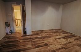 Vila P+1, 175 mp, 734 mp teren intravilan, Leamna de Jos